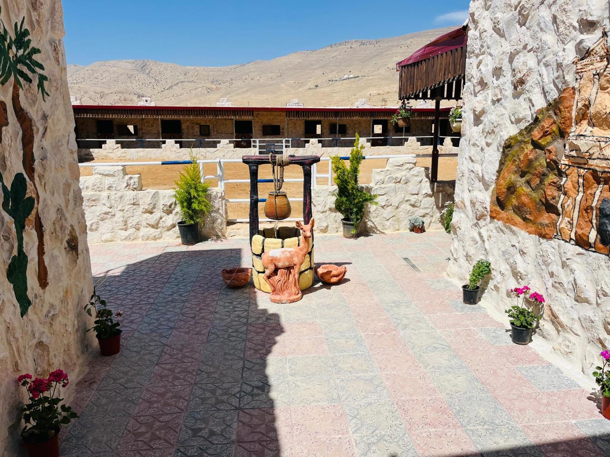 Bed and Breakfast Petra Royal Ranch Wadi Musa Exterior foto