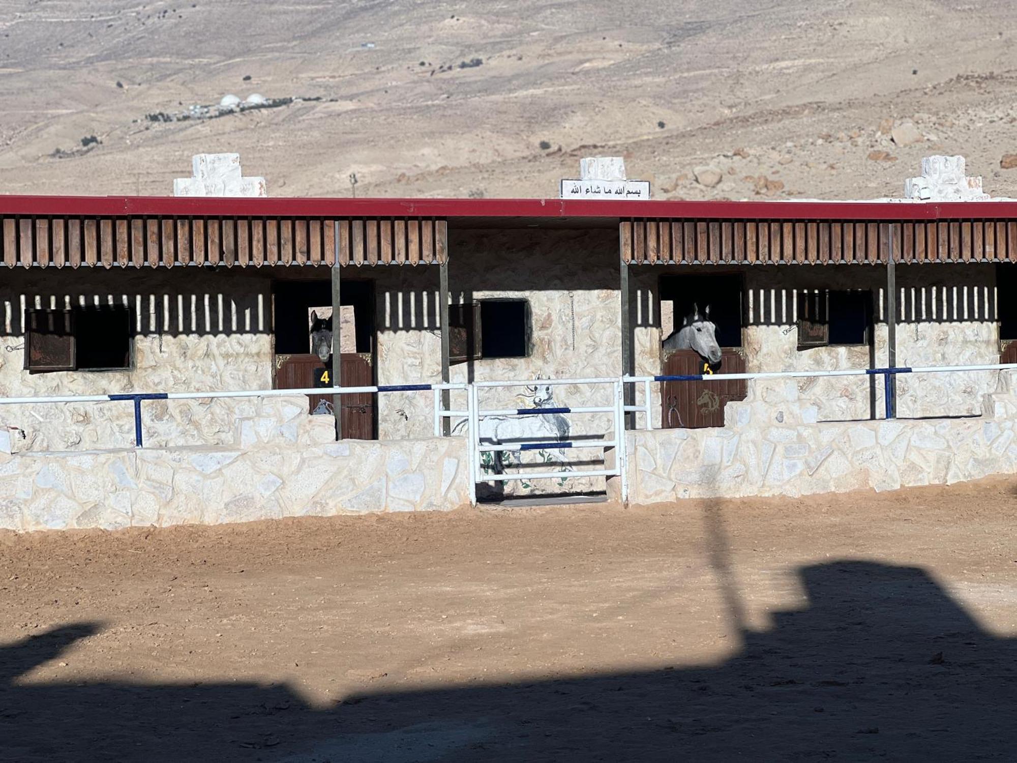 Bed and Breakfast Petra Royal Ranch Wadi Musa Exterior foto